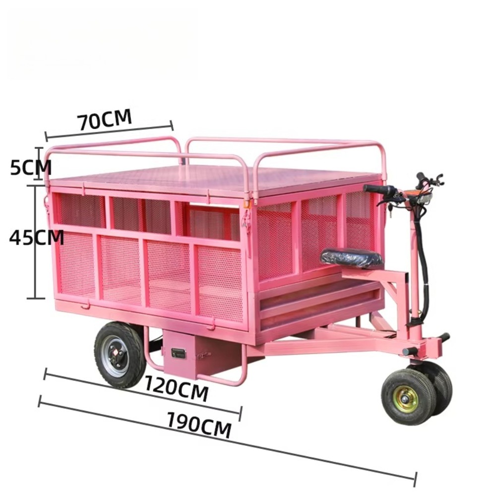 3 Wheel Electric Flat Cart Rev - đánh giá và giá Snacks Food Stall