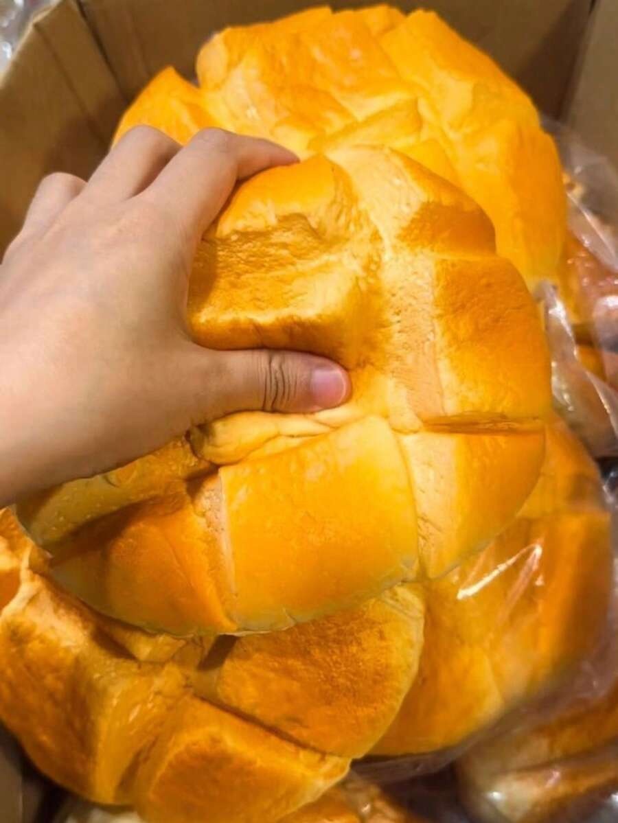 Extra Large Super Soft Lava Pi - đánh giá và giá Food Xxl
